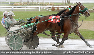 'Hottie' Hustles In Alberta Princess