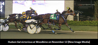 Riley Discusses His 'Gal'