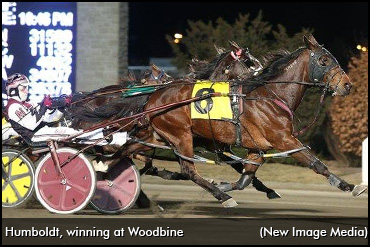 Humboldt The Horse To Race For SJHL