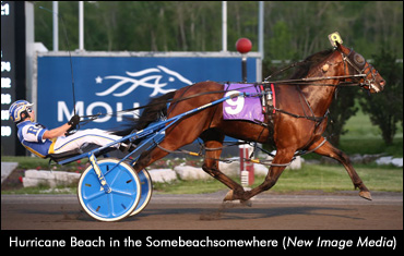 Somebeachsomewhere Sons Sweep Somebeachsomewhere Sons Sweep