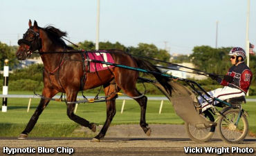 Hypnotic Blue Chip Tattersalls Topper