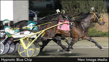 Hypnotic Blue Chip Delivers In SPC; St Elmo Hero Carries Streak To Canada