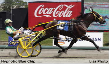 Hypnotic Blue Chip, Won The West To Indiana