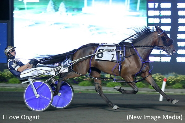 I Love Ongait Upsets In Whenuwishuponastar