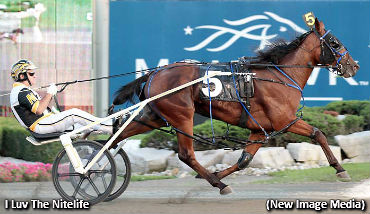 Ryder In ‘Luv’ With Record-Setting Filly 