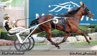 Red Mile Next For I Luv The Nitelife