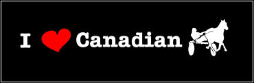 These Stars Love Canadian Harness Racing