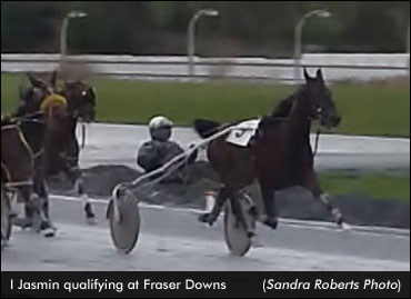 Trotter Qualifies At Fraser Downs