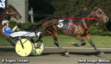 Preferred Hat Trick For Il Sogno Dream