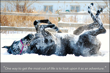 December's Calendar Photographer