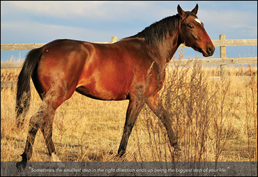October’s Calendar Photographer