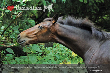 June's Calendar Photographer
