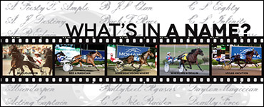 What's In A Name? Tell Us!
