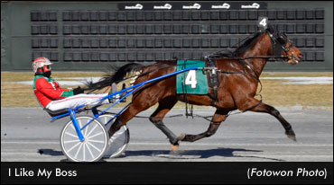 Unbeaten Sophomore Shines In DSBF