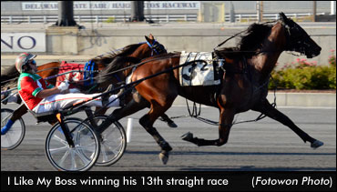 Undefeated 'Boss' Lowers Track Mark