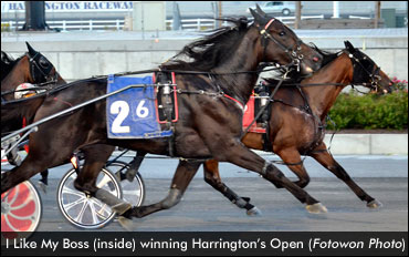 I Like My Boss Extends Streak In Open