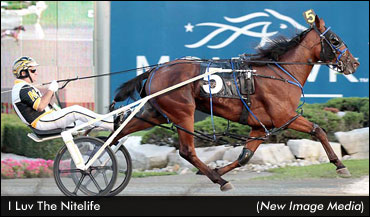 I Luv The Nitelife Wins Qualifying Debut