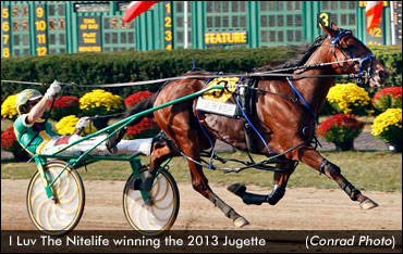 'Nitelife' Named NJ S-Bred Of The Year