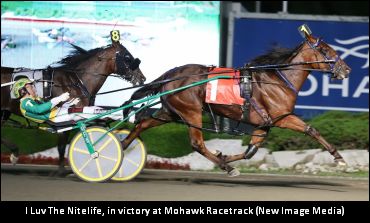 Ten To Contest Jugette