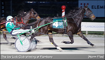 The Joy Luck Club Cruises