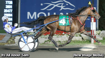 McEneny's Fillies Dominate