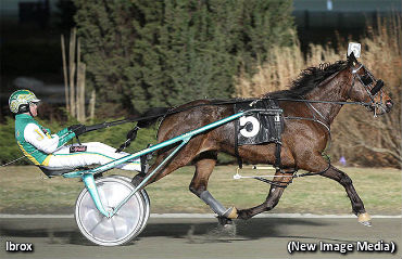 Ibrox Romps In Tie Silk Elim