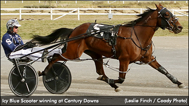 ‘Icy Blue’ Scoots Clear At Century