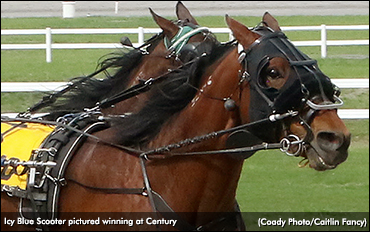 2020 ASHA Awards — Champions of 2019