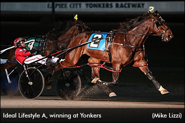 Trainer Leaves Courtroom For Racing