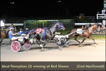 An ‘Ideal’ Race For Ideal Perception