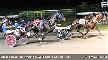 Ideal Perception Pops In Saucer Trial