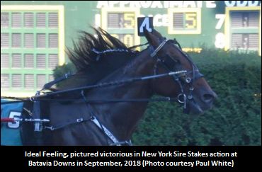 Trainer ‘Feeling’ For A Crown Upset