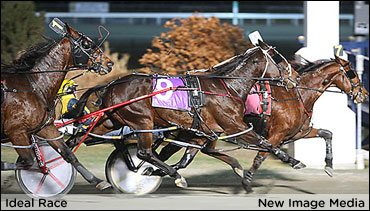 Willowdale Series Sweep For Ideal Race