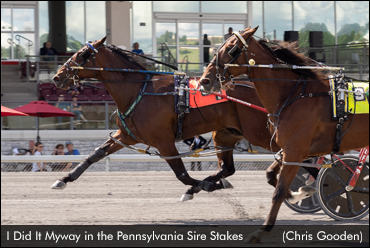 Rookies Ready For PASS Championships