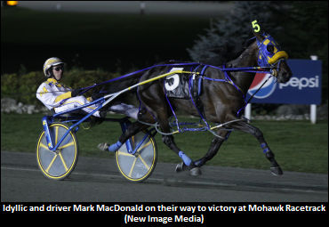 Fantasy Football Win Leads To 'Idyllic' Spot