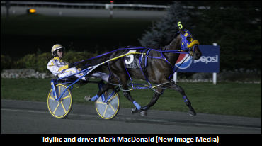 Idyllic Headlines Mohawk Qualifiers