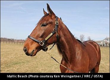 Top Fillies To Return Thursday