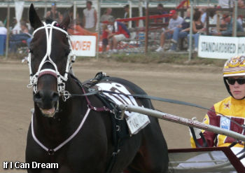 If I Can Dream To Windy City Pace