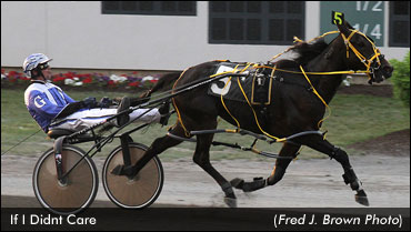 Tioga Holds 'Old Style' Sulky Race