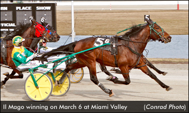 Il Mago Enjoying New Surroundings