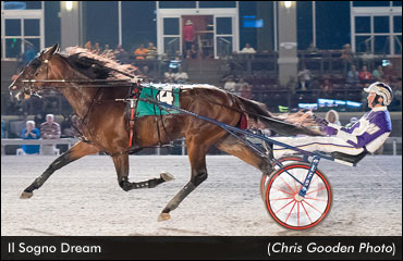 Il Sogno Dream Sets Stakes Record