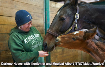 Magical Albert Defies The Odds