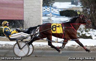 Youth-ful Movement At Woodbine