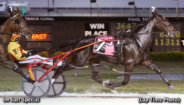 Broodmare A 'Special Girl' To Colbys