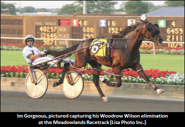 Im Gorgeous To Winwood Farm
