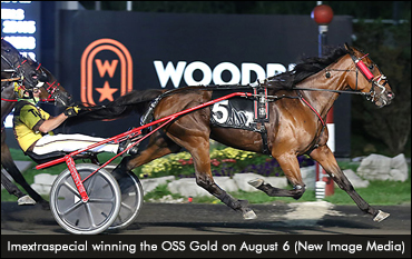 Imextraspecial Excels In Gold Series