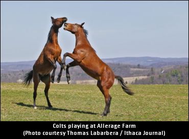 Groundwater Mystery At Allerage PA