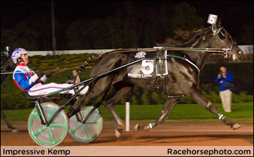 Impressive Kemp Sold, To Be Bred To Muscles Yankee