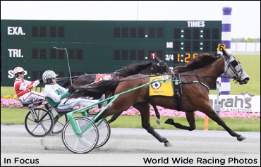 In Focus A Vision Of Victory In Open Trot