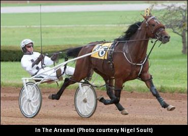 Breeders Crown Contender Sold Breeders Crown Contender Sold